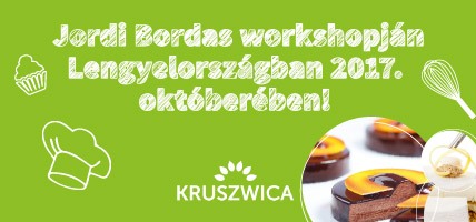 Wsparcie wprowadzenia na rynek węgierski produktów profesjonalnych ZT Kruszwica